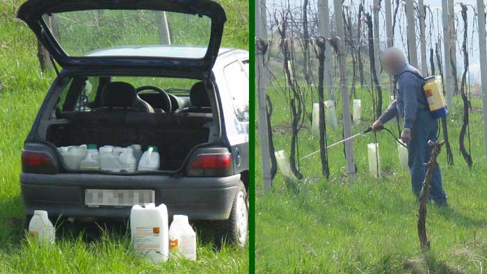 farra di soligo glifosate m5s farra