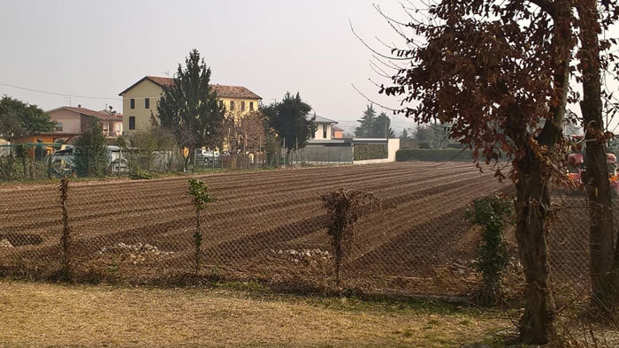 vigneto scuola san giacomo