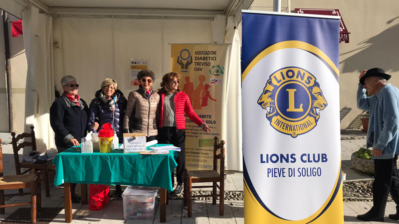 FOTO LIONS 2