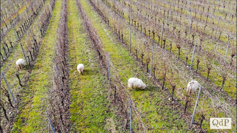 Schermata 2021 02 04 alle 12.21.32