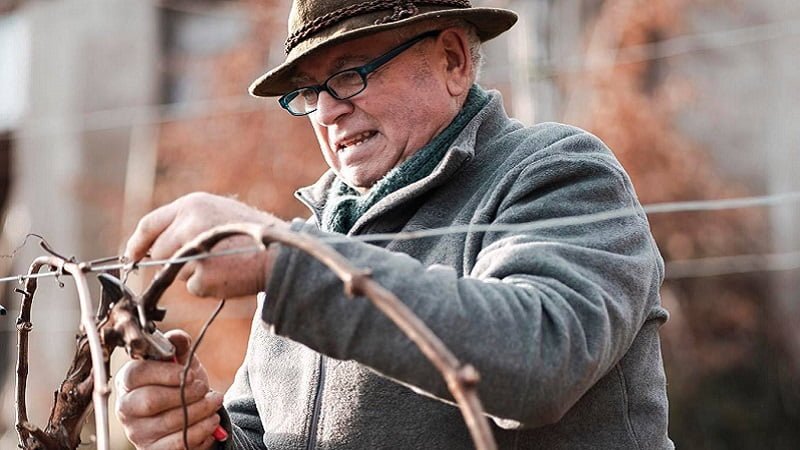 Questa immagine ha l'attributo alt vuoto; il nome del file è 158933621_732117397487586_1737155607904521668_n.jpg