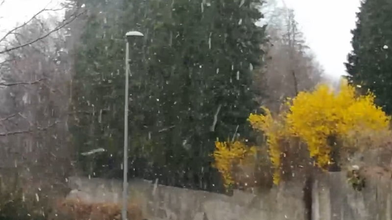 Questa immagine ha l'attributo alt vuoto; il nome del file è pieve-del-grappa-neve-190321.jpg