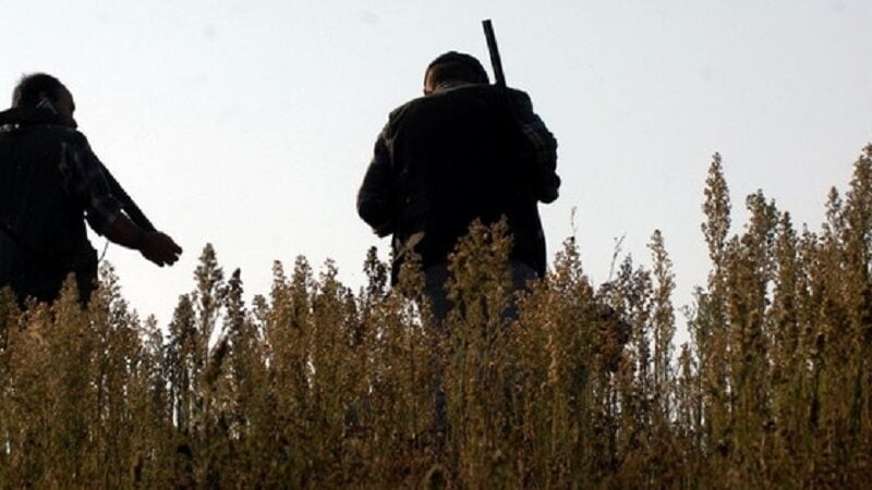 "Tavolo verde" con agricoltori, ambientalisti e associazioni venatorie