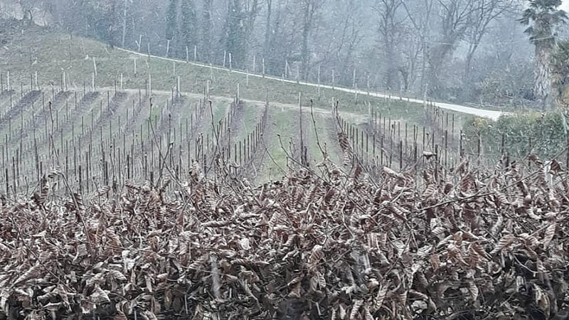 Questa immagine ha l'attributo alt vuoto; il nome del file è treviso-meteo-6-200321.jpg