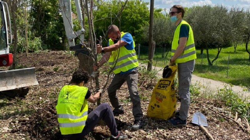 Questa immagine ha l'attributo alt vuoto; il nome del file è nervesa-nuovi-alberi4-140521.jpg