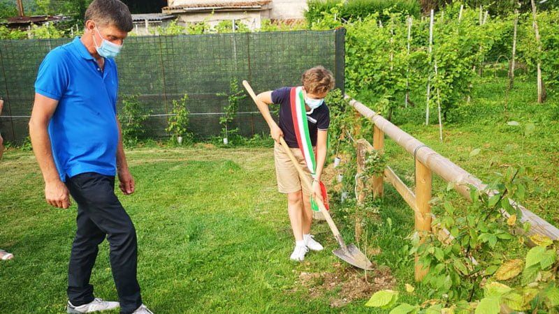 Questa immagine ha l'attributo alt vuoto; il nome del file è farra-mostraalberi1-20062021.jpg