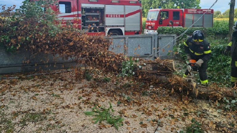 Questa immagine ha l'attributo alt vuoto; il nome del file è vazzola-pioggia-020821.jpg