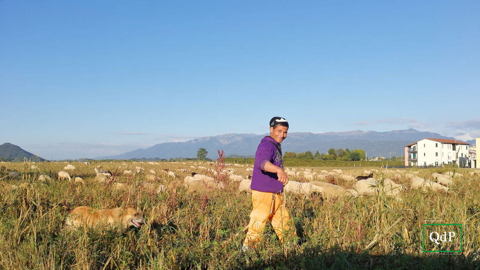 Questa immagine ha l'attributo alt vuoto; il nome del file è pederobba-transumanza-091021-1600x900.jpg