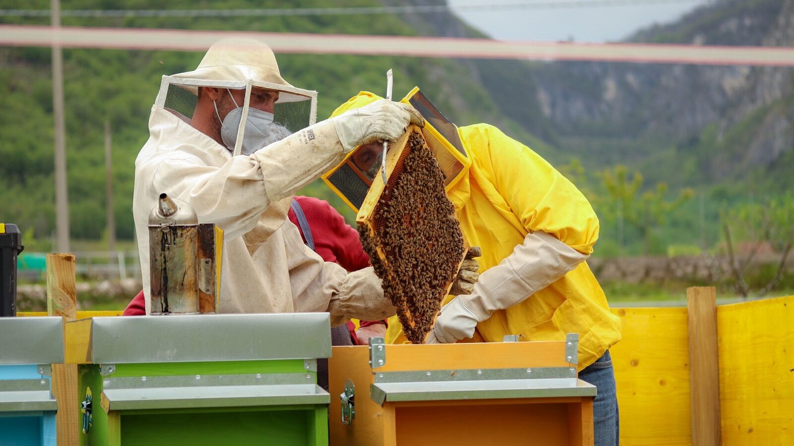 Da Savno un concorso per tutelare l'ape
