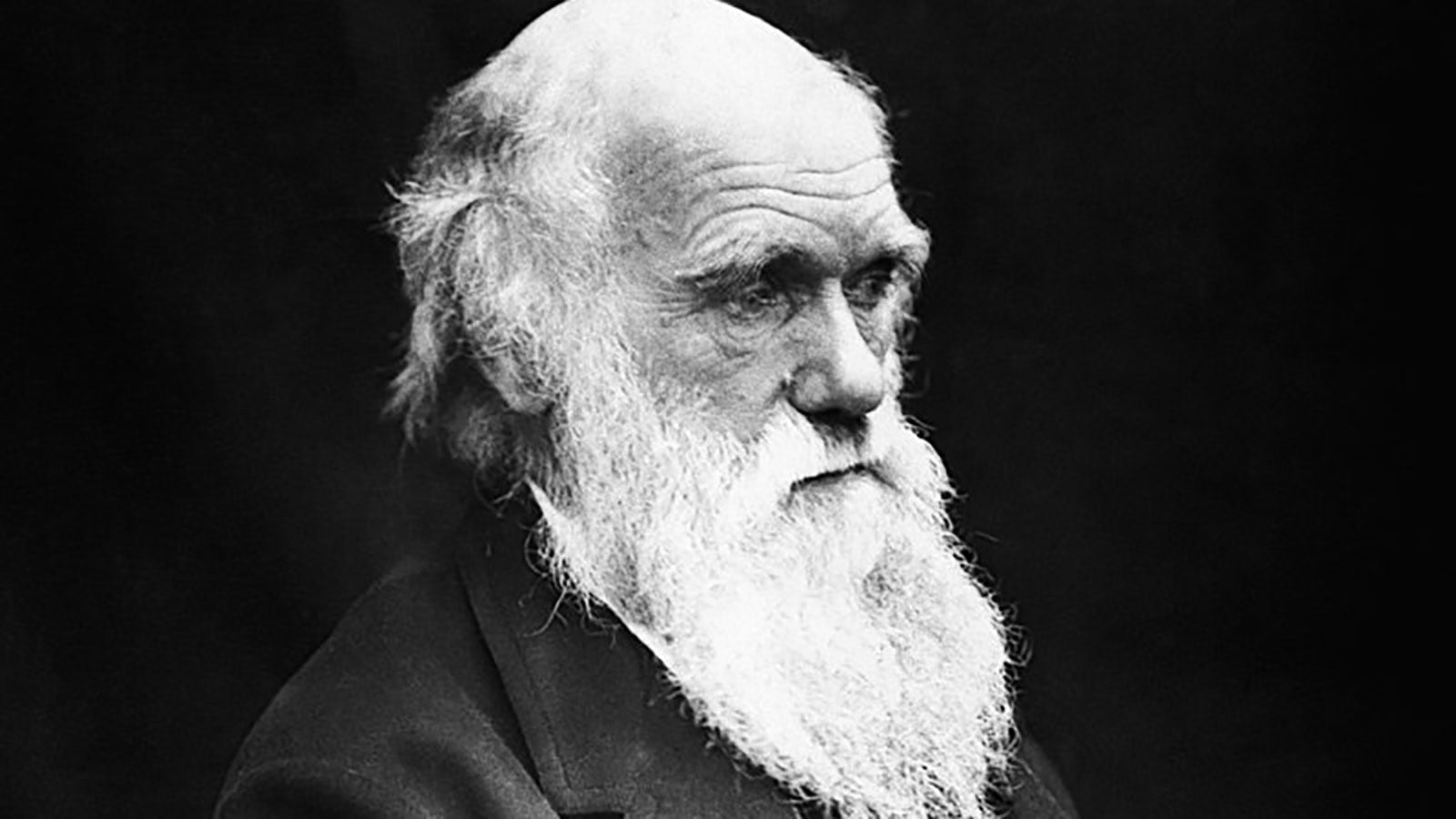 Charles Darwin, il padre della teoria dell'evoluzione