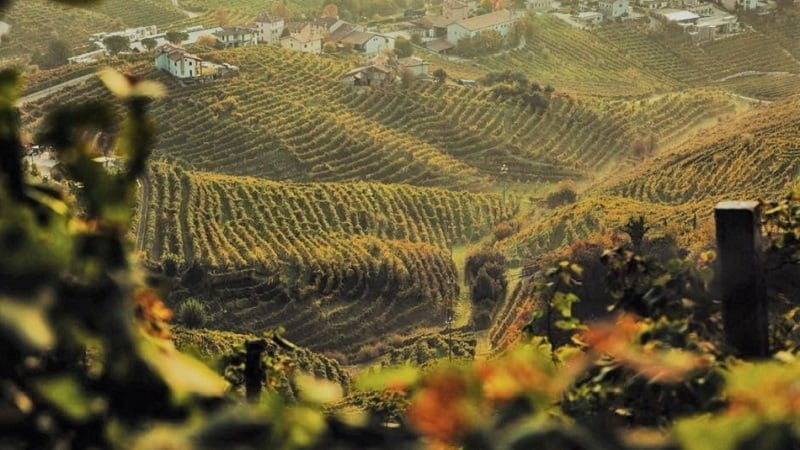 Si apre lo scenario degli appuntamenti internazionali per il Consorzio del Conegliano Valdobbiadene Prosecco DOCG