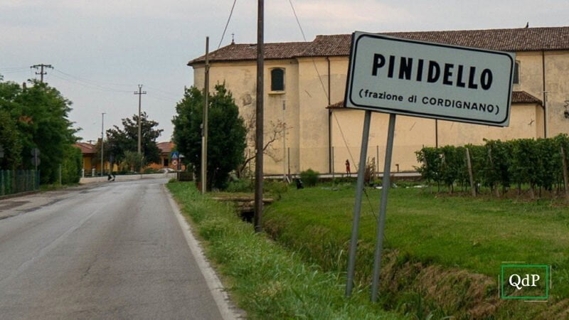 Pinidello