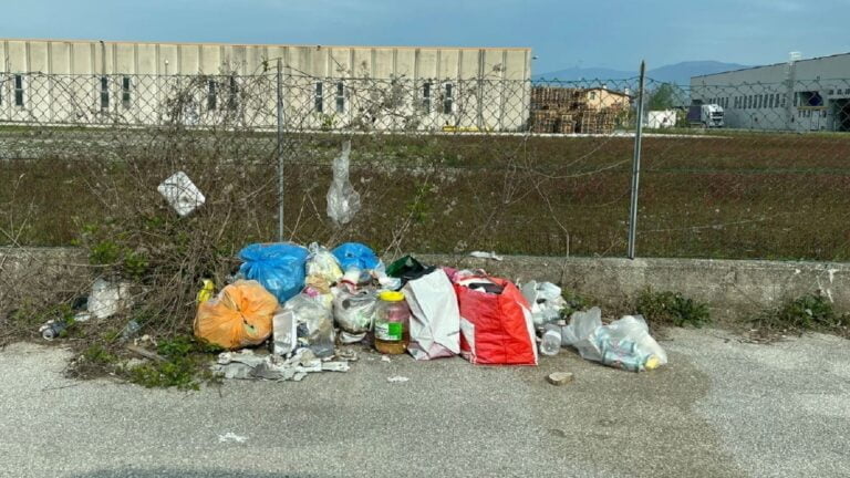 I rifiuti abbandonati in zona industriale ad Albina