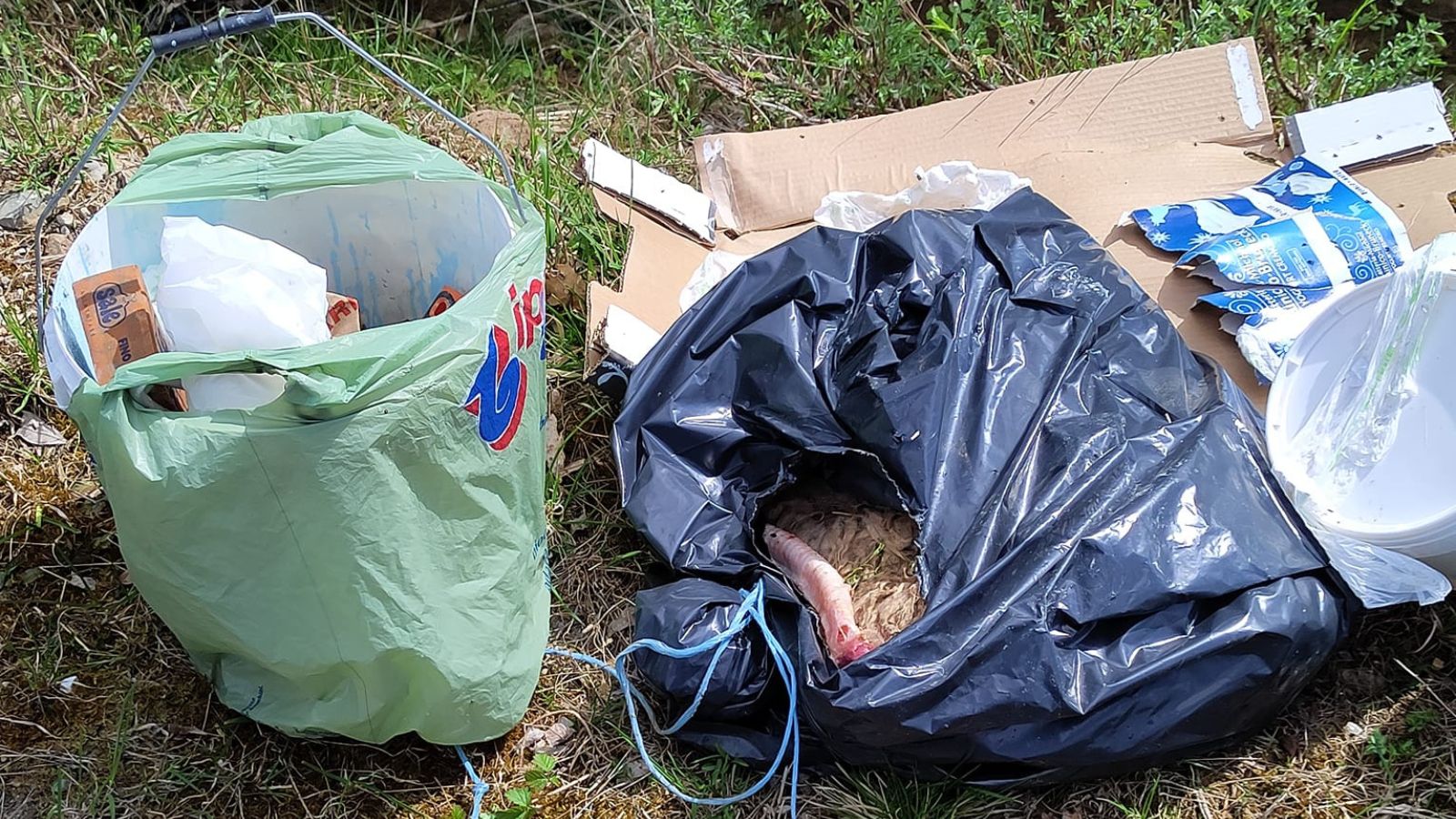 Carcasse animali al Pian de le Femene: multa da 21 mila euro per quattro ecovandali