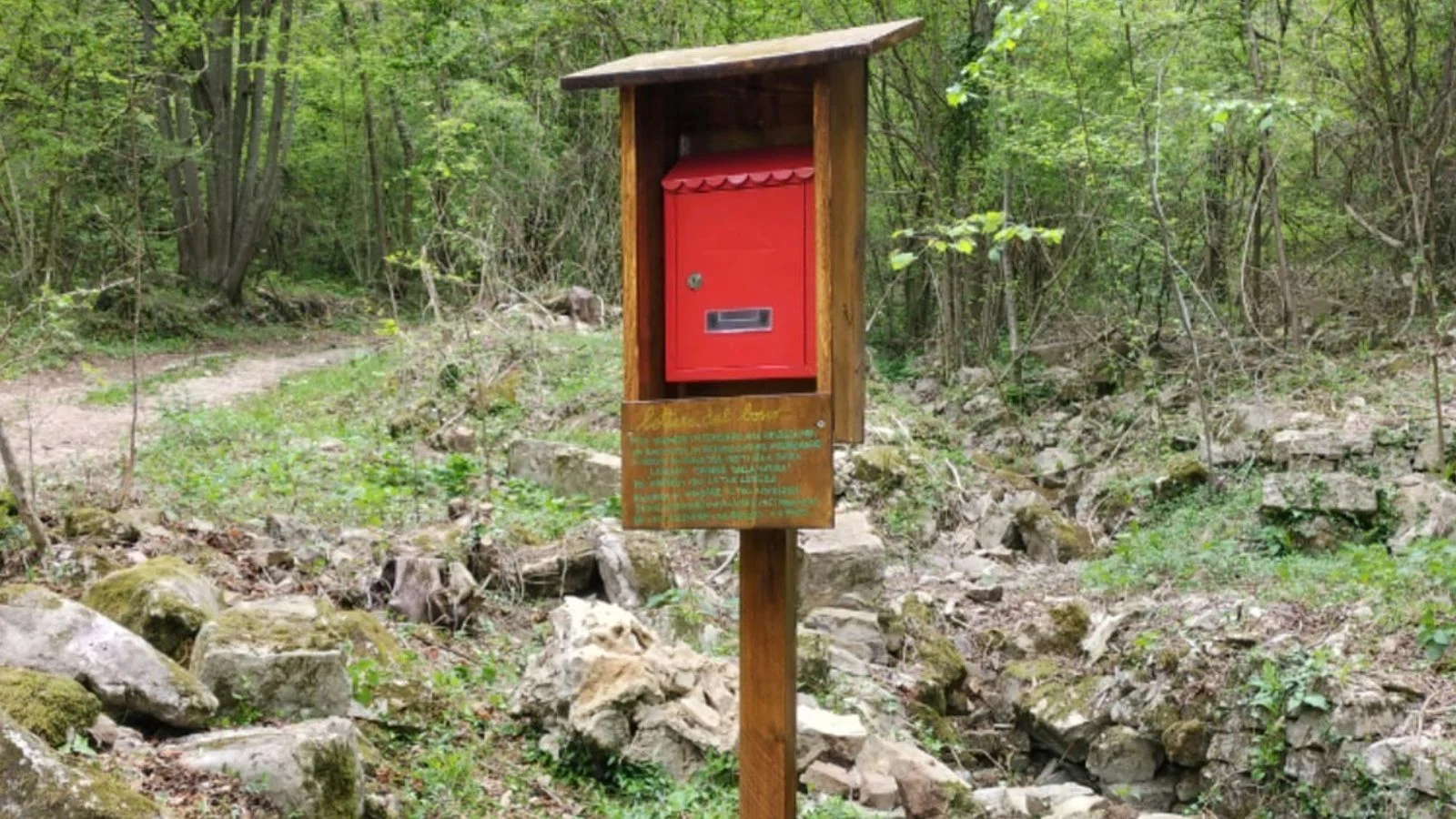 "Lettere dal bosco": installata in Val de Banche la prima cassetta postale dove lasciare racconti, auguri e idee