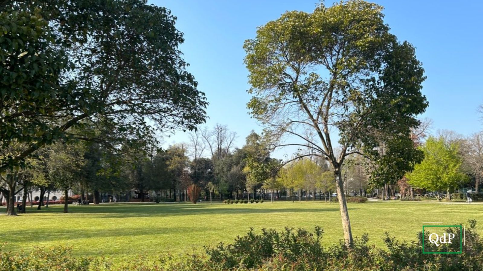 Montebellunese sotto shock, due persone si tolgono la vita a distanza di poche ore