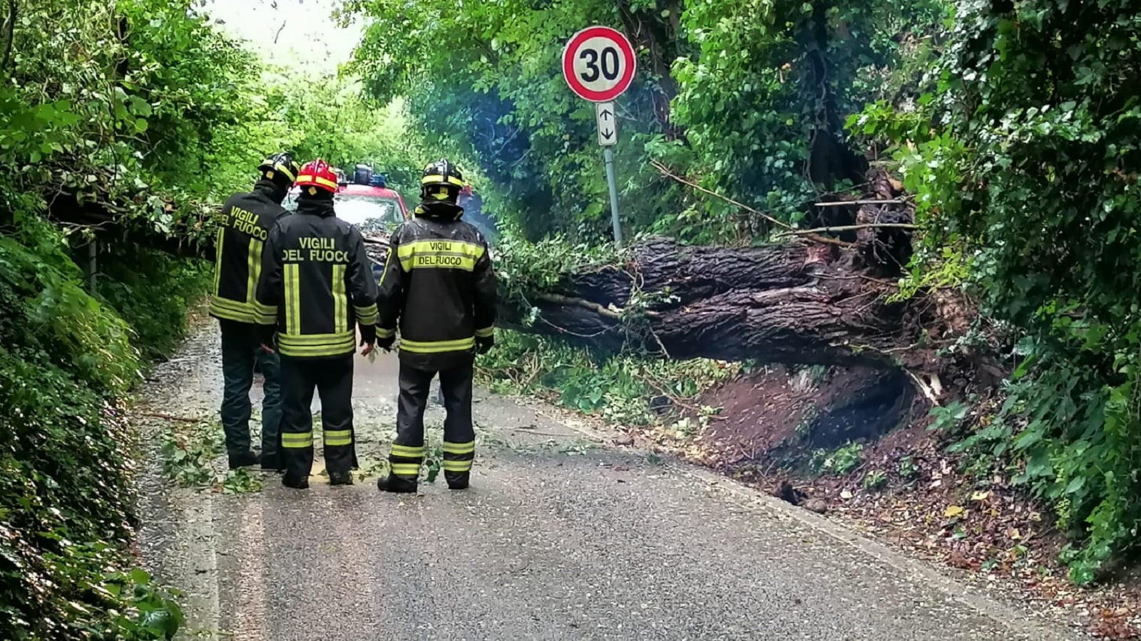 Alberi caduti in via Foresto Vecchio, Vigili del fuoco e Protezione civile al lavoro per sgomberare la strada