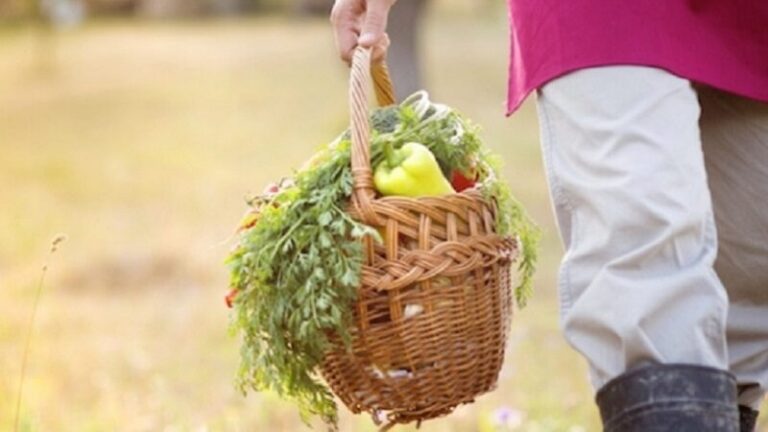 Agroalimentare, in 3 anni perse 21.000 imprese