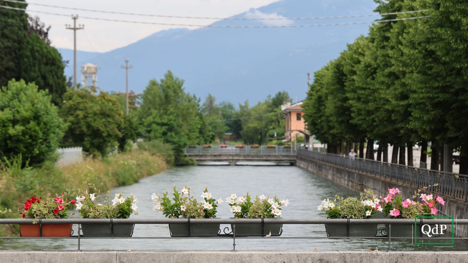 Rubano le fioriere sui ponticelli, un benefattore misterioso le ricompra e le risistema tutte