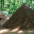 La Festa dei Carbonai