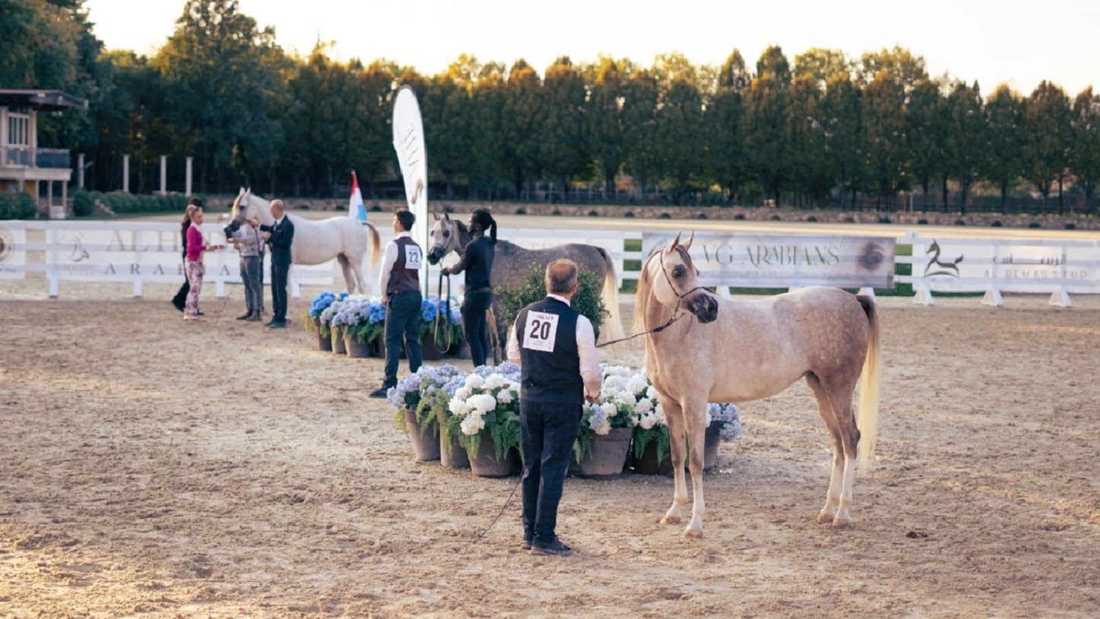 Cavalli in Villa arriva nel Montello, la 5ª tappa nella settecentesca Villa Spineda