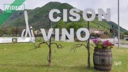 Nuovo appuntamento con la Mostra dei Vini a Cison di Valmarino