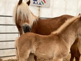 Lora con la mamma Avia
